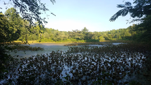 Nature Preserve «Governor Bridge Natural Area», reviews and photos, 7600 Governor Bridge Rd, Bowie, MD 20716, USA