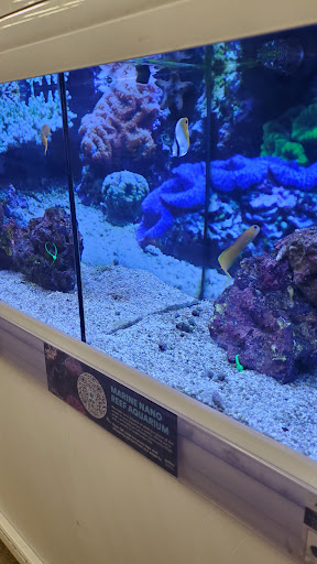 Pet Supply Store «Petco Animal Supplies», reviews and photos, 2140 E Blvd St, Kokomo, IN 46902, USA