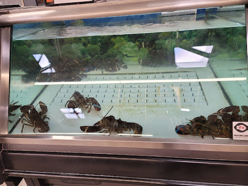 Grocery Store «Giant Food Stores», reviews and photos, 4510 Marketplace Way, Enola, PA 17025, USA