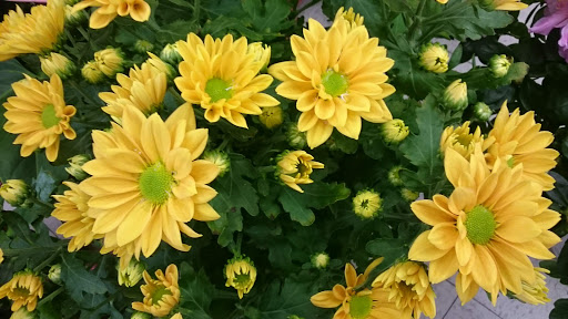 Supermarket «Arcadia Super Market», reviews and photos, 645 W Duarte Rd, Arcadia, CA 91007, USA