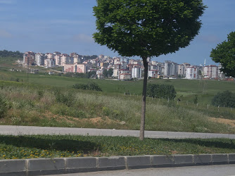 İlkadım Belediyesi Temizlik İşleri Müdürlüğü Şantiyesi