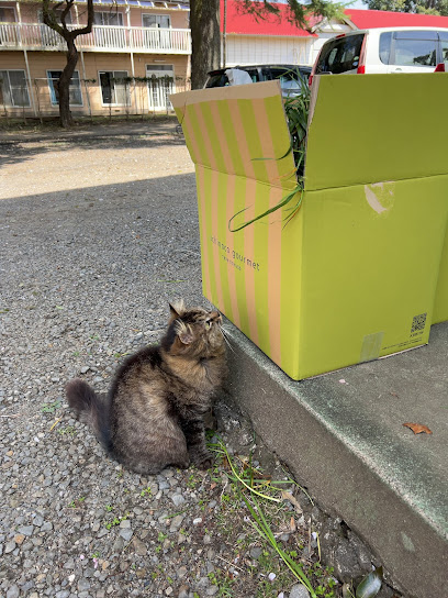 飼料店