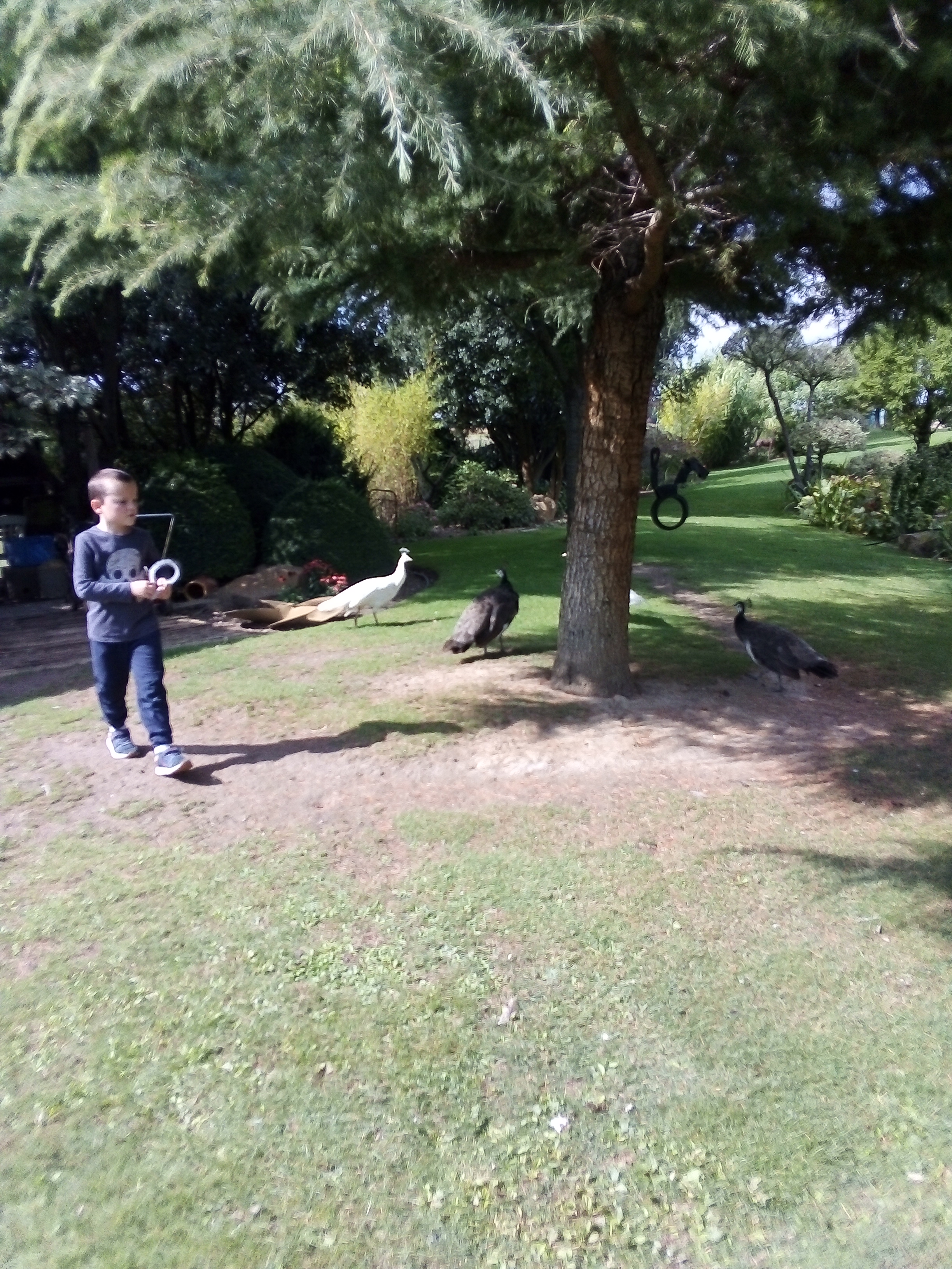 Photo n° 2 de l'avis de Stéphane.E fait le 10/09/2022 à 17:28