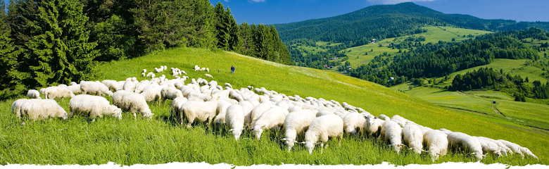 Bryndziareň, s.r.o.