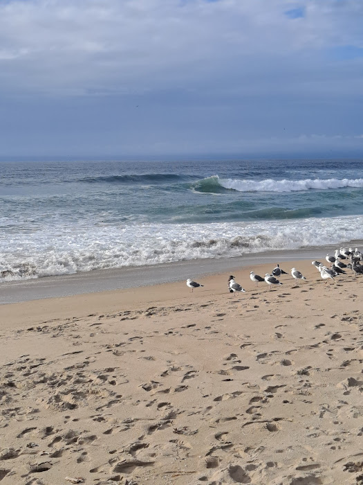  near Best Western Salinas Monterey Hotel