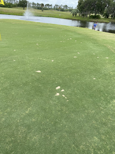 Golf Club «Venetian Bay Golf Club», reviews and photos, 63 Airport Rd, New Smyrna Beach, FL 32168, USA