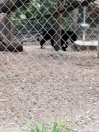 Zoo «Zoological Wildlife Foundation», reviews and photos, 16225 SW 172nd Ave, Miami, FL 33187, USA