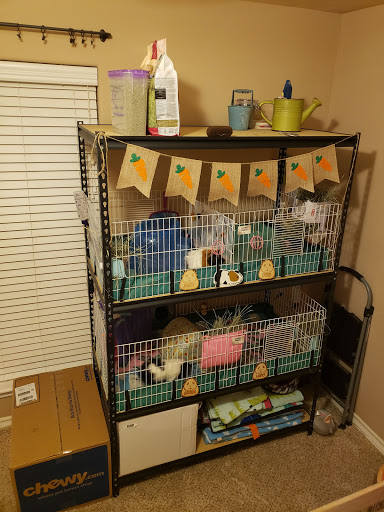 Pet Supply Store «PetSmart», reviews and photos, 5214 Blanche Moore Dr, Corpus Christi, TX 78411, USA