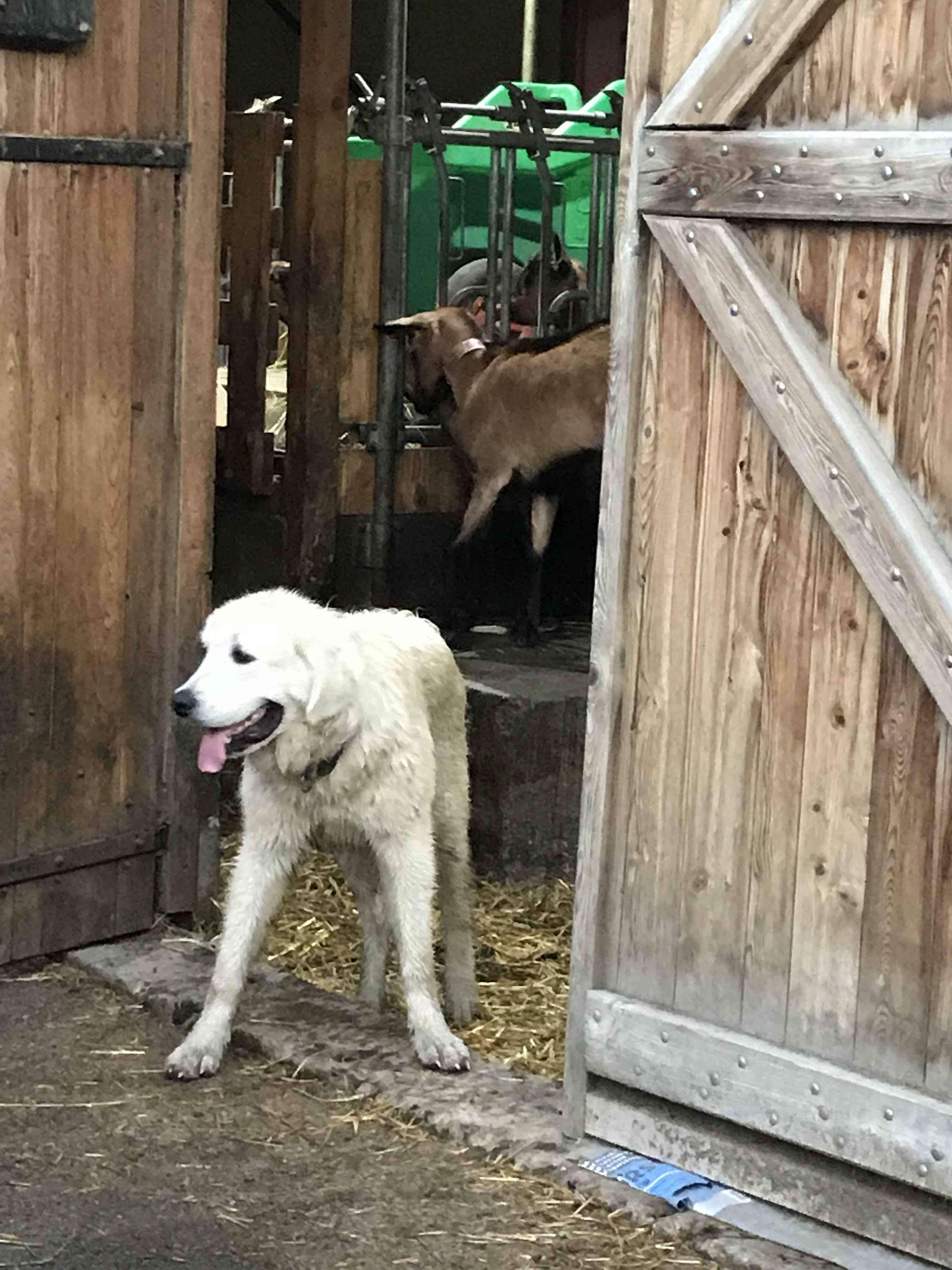 Photo n° 4 de l'avis de Vanessa.. fait le 21/08/2018 à 06:05