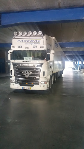 Transportes Pascoal SA - Mealhada