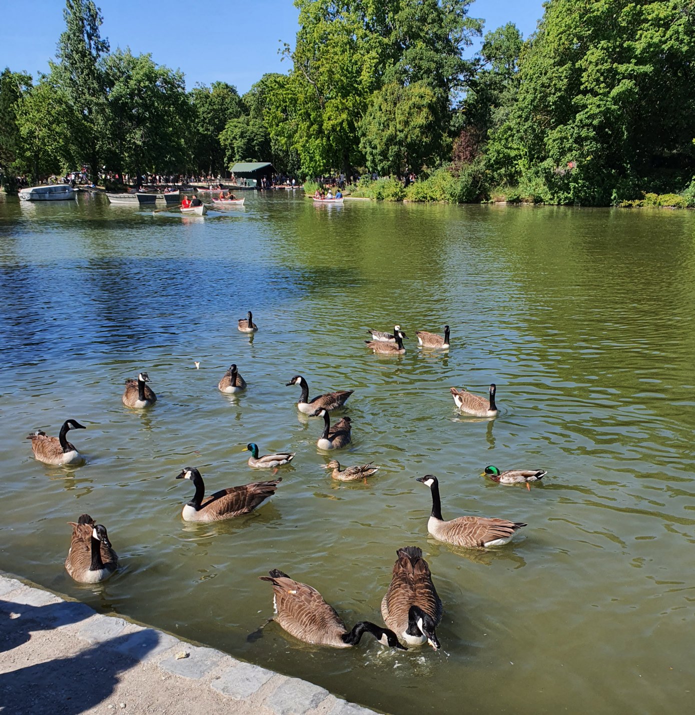 Photo n° 3 de l'avis de Elle. fait le 25/01/2022 à 10:51