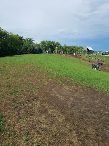 Live Music Venue «DTE Energy Music Theatre», reviews and photos, 7774 Sashabaw Rd, Village of Clarkston, MI 48348, USA