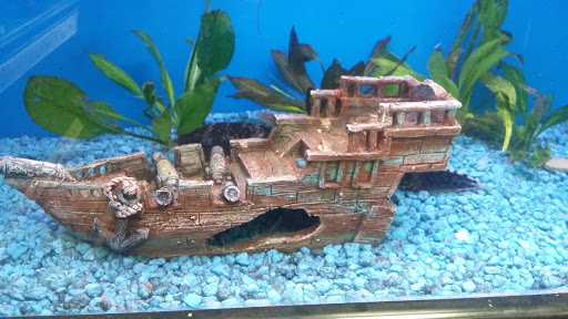 Pet Supply Store «Pet Valu», reviews and photos, 130 Tuttle Rd, Springfield, OH 45503, USA