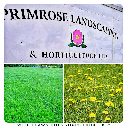 Primrose Landscaping & Horticulture Ltd