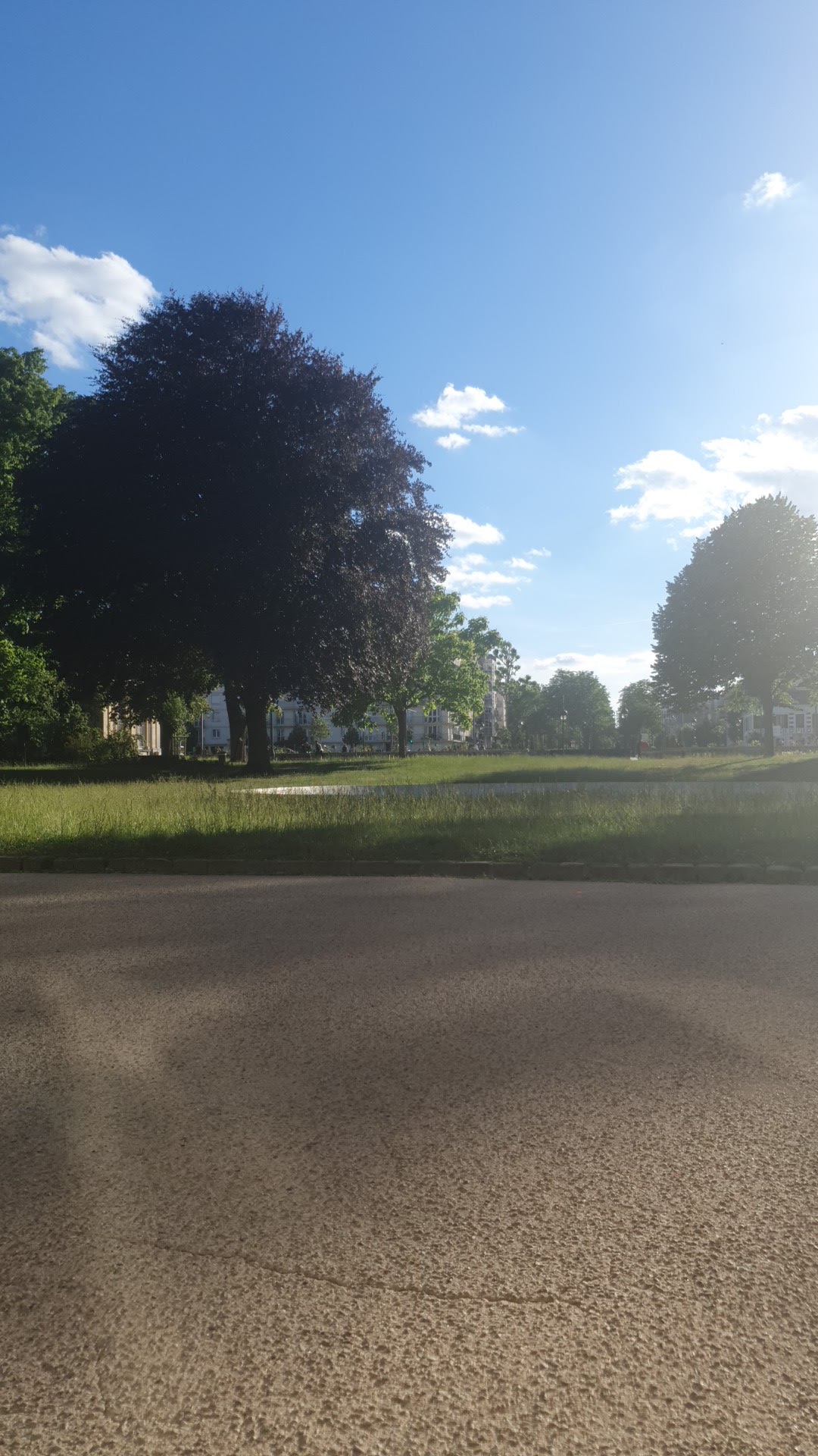 Photo n° 3 de l'avis de Ziad. fait le 27/05/2022 à 17:07