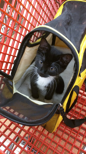 Pet Supply Store «Petco Animal Supplies», reviews and photos, 8404 Eager Rd b, Brentwood, MO 63144, USA