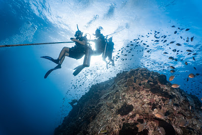 Mojo Divers Scuba Diving Centre