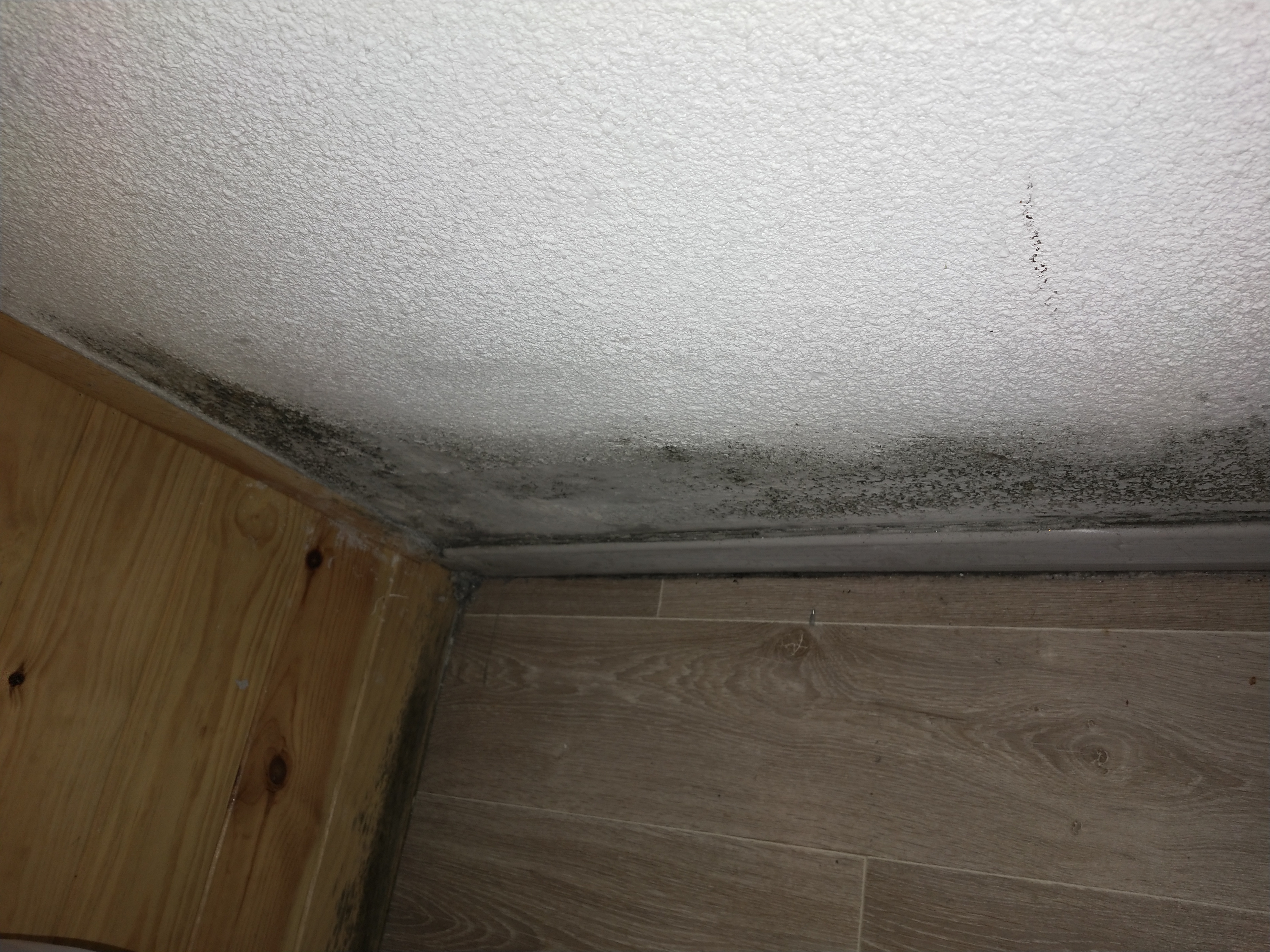 Photo n° 3 de l'avis de Vincent.i fait le 23/02/2019 à 10:36