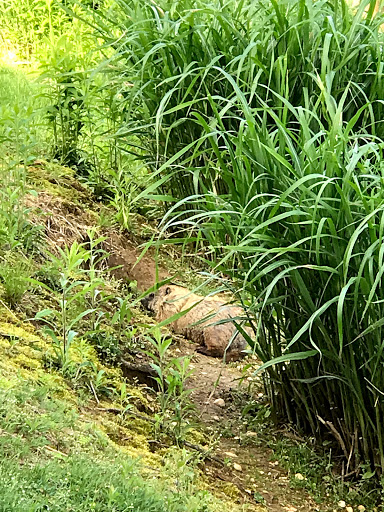 Golf Course «The Meadows at Middlesex Golf Course», reviews and photos, 70 Hunters Glen Dr, Plainsboro Township, NJ 08536, USA