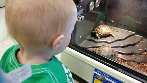 Pet Supply Store «PetSmart», reviews and photos, 2997 Max Ave, Bozeman, MT 59718, USA