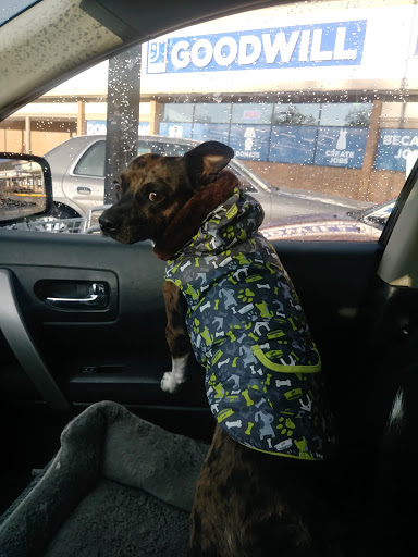 Thrift Store «Olympia Goodwill», reviews and photos, 400 Cooper Point Rd SW, Olympia, WA 98502, USA