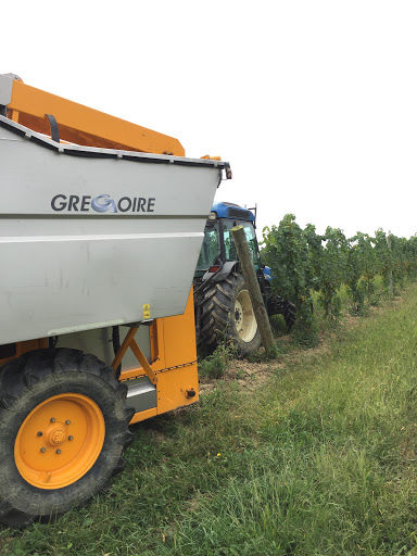 Winery «M Cellars», reviews and photos, 6193 S River Rd W, Geneva, OH 44041, USA