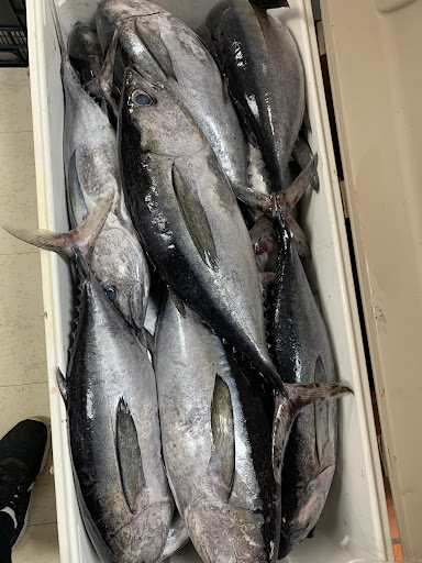 Asian Grocery Store «Y&M Asian Market», reviews and photos, 1085 Reading Rd, Mason, OH 45040, USA