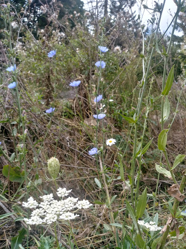State Park «Willamette Stone State Heritage Site», reviews and photos, 253 NW Skyline Blvd, Portland, OR 97210, USA