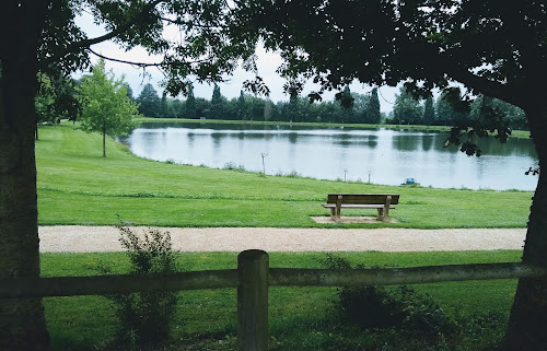 Etang de Courlay à Courlay