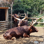 Photo n°10 de l'avis de Simone.r fait le 10/09/2020 à 09:59 sur le  Parc Gallorose à Loc. Cedrino