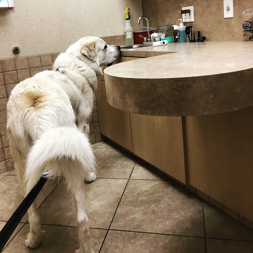 6700 Woodlands Pkwy #430, The Woodlands, TX 77382, USA