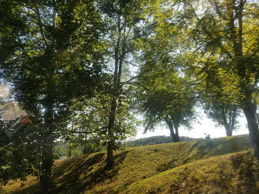 Art Gallery «Brown County Art Gallery», reviews and photos, 1 Artist Dr, Nashville, IN 47448, USA