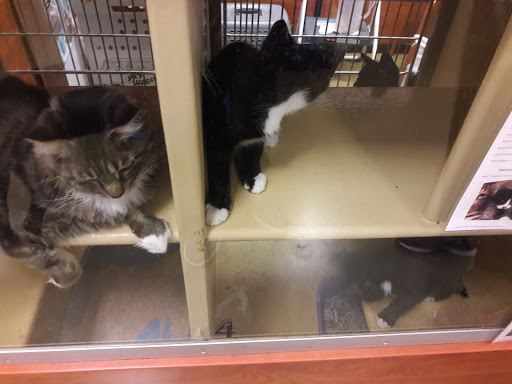 Pet Supply Store «PetSmart», reviews and photos, 2141 N Rose Ave, Oxnard, CA 93036, USA