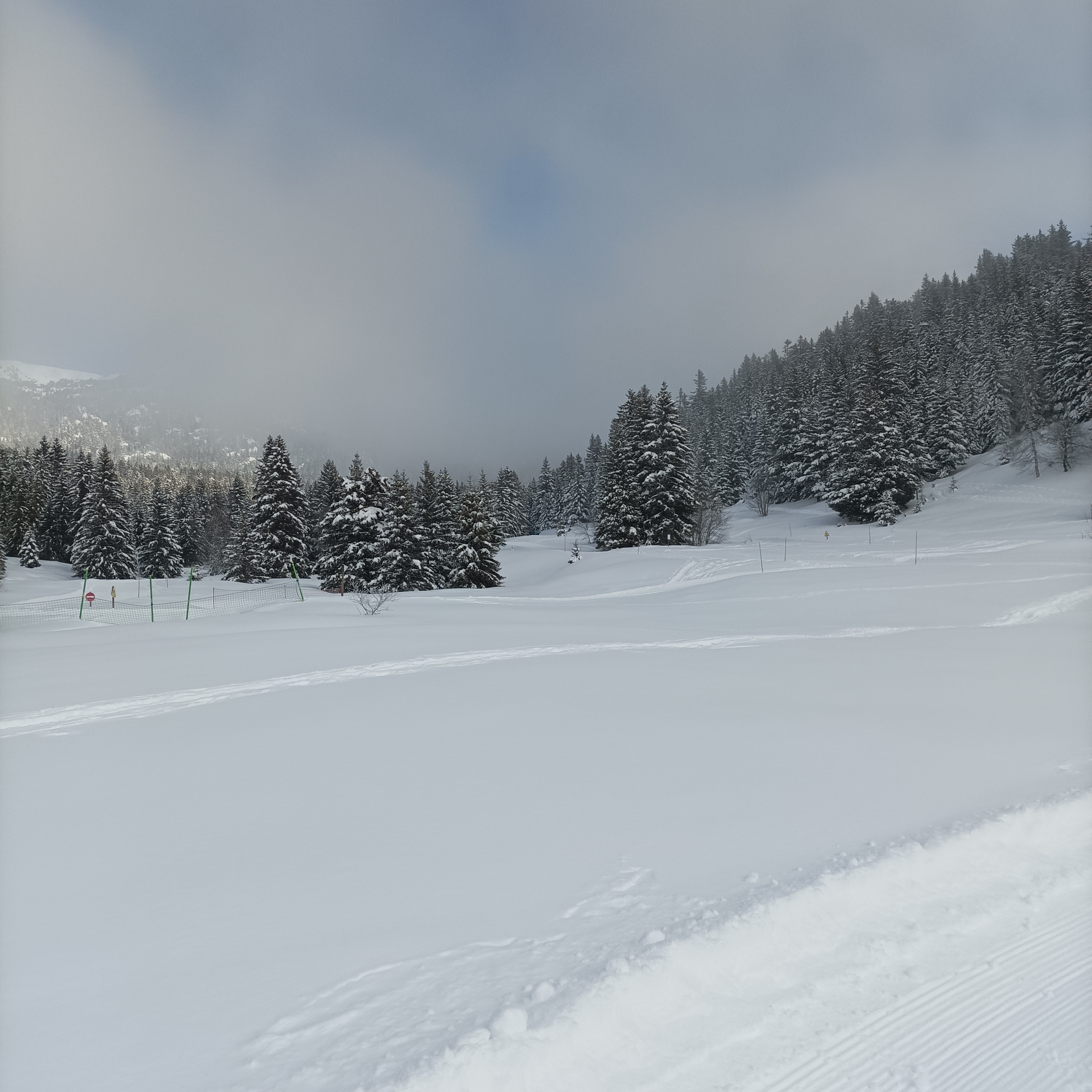 Photo n° 10 de l'avis de Rodolphe.o fait le 16/01/2022 à 21:06