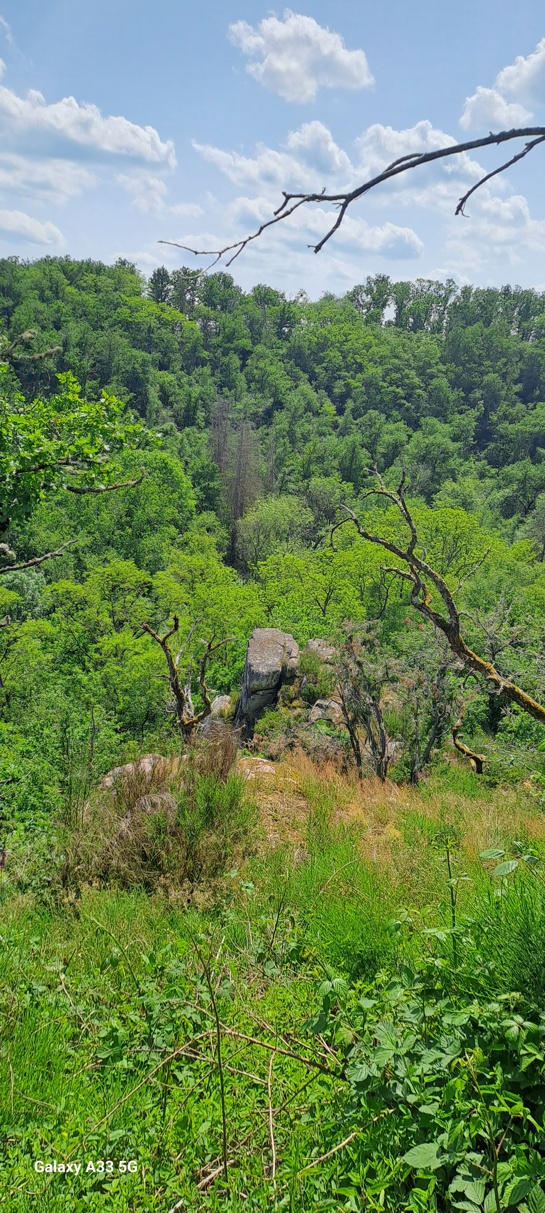 Photo n° 10 de l'avis de Berangere.a fait le 01/06/2023 à 11:20