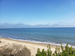 Summerland beach'in fotoğrafı çok temiz temizlik seviyesi ile
