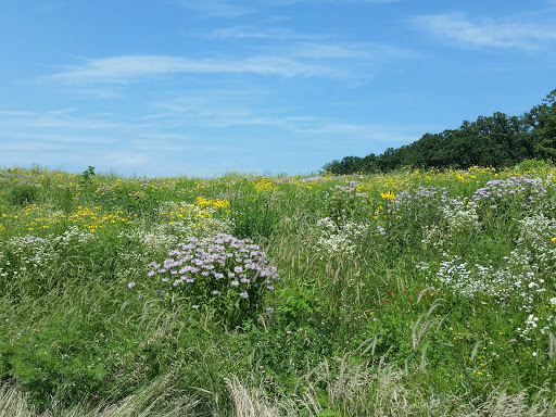 Recreation Center «Randall Oaks Recreation Center», reviews and photos, 500 Randall Rd, West Dundee, IL 60118, USA