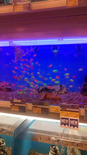 Pet Supply Store «PetSmart», reviews and photos, 2818 S Louise Ave, Sioux Falls, SD 57106, USA