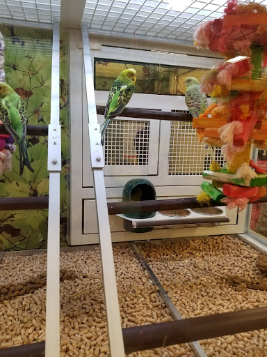 Pet Supply Store «PetSmart», reviews and photos, 4013 Wisconsin 28, Kohler, WI 53081, USA