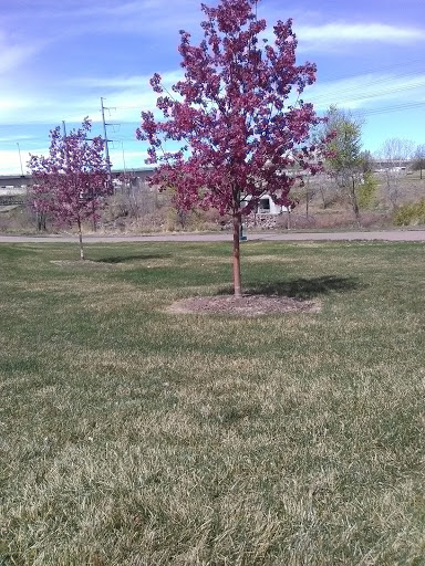 Park «City of Cuernavaca Park», reviews and photos, 3500 Rockmont Dr, Denver, CO 80202, USA
