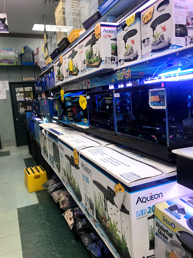 Pet Supply Store «Petland Discounts - Jamaica», reviews and photos, 17133 Hillside Avenue, Jamaica, NY 11432, USA