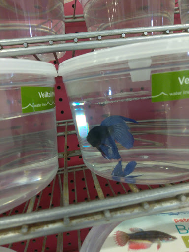 Pet Supply Store «Petco Animal Supplies», reviews and photos, 2765 Santa Rosa Ave, Santa Rosa, CA 95407, USA