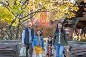 Downtown Naperville image