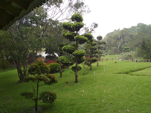 Templo de bambú, Jardín Japonés, Jardín Botánico