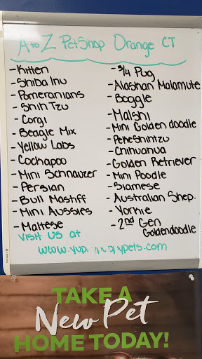 Pet Store «Yuppy Puppy Pet Shop», reviews and photos, 292 Frantz Rd, Stroudsburg, PA 18360, USA