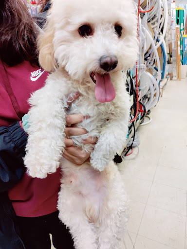 Hardware Store «Tele-Tron Ace Hardware», reviews and photos, 6604 Cermak Rd, Berwyn, IL 60402, USA