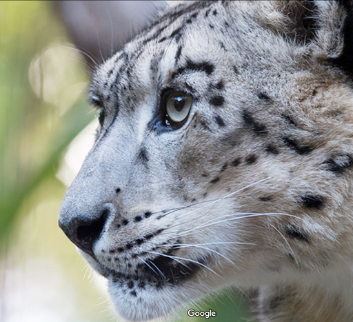 Zoo «Central Park Zoo», reviews and photos, E 64th St & 5th Ave, New York, NY 10021, USA