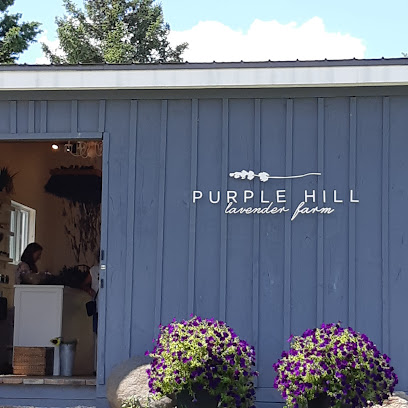 Purple Hill Lavender