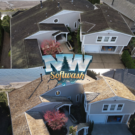 NW Softwash roof cleaning