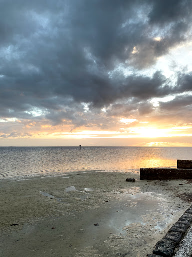 Park «Pine Island Park», reviews and photos, 320 S Pine Island Rd, Plantation, FL 33324, USA